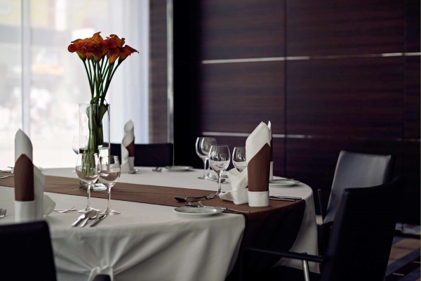 Hotel Pullman Dresden Newa